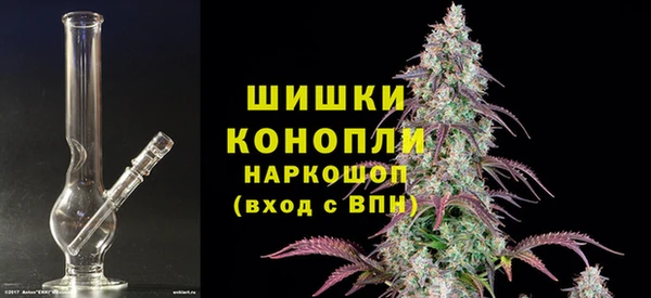 сатива Абдулино