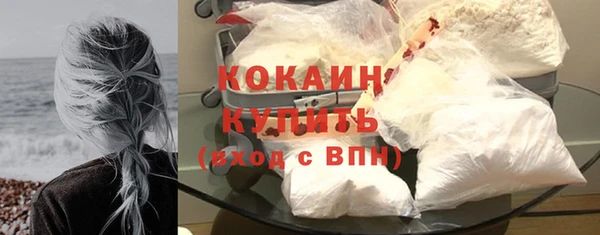 прущие грибы Касимов