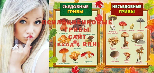 сатива Абдулино