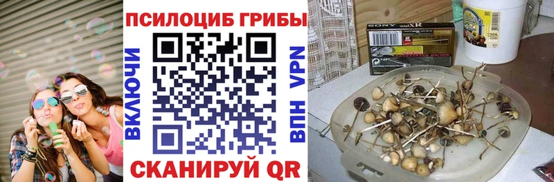Галлюциногенные грибы Magic Shrooms  Азнакаево 